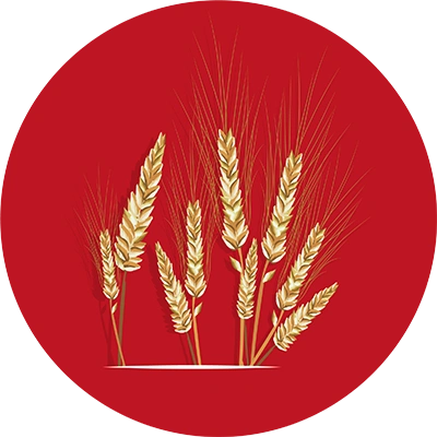 Handpicked-Ingredients